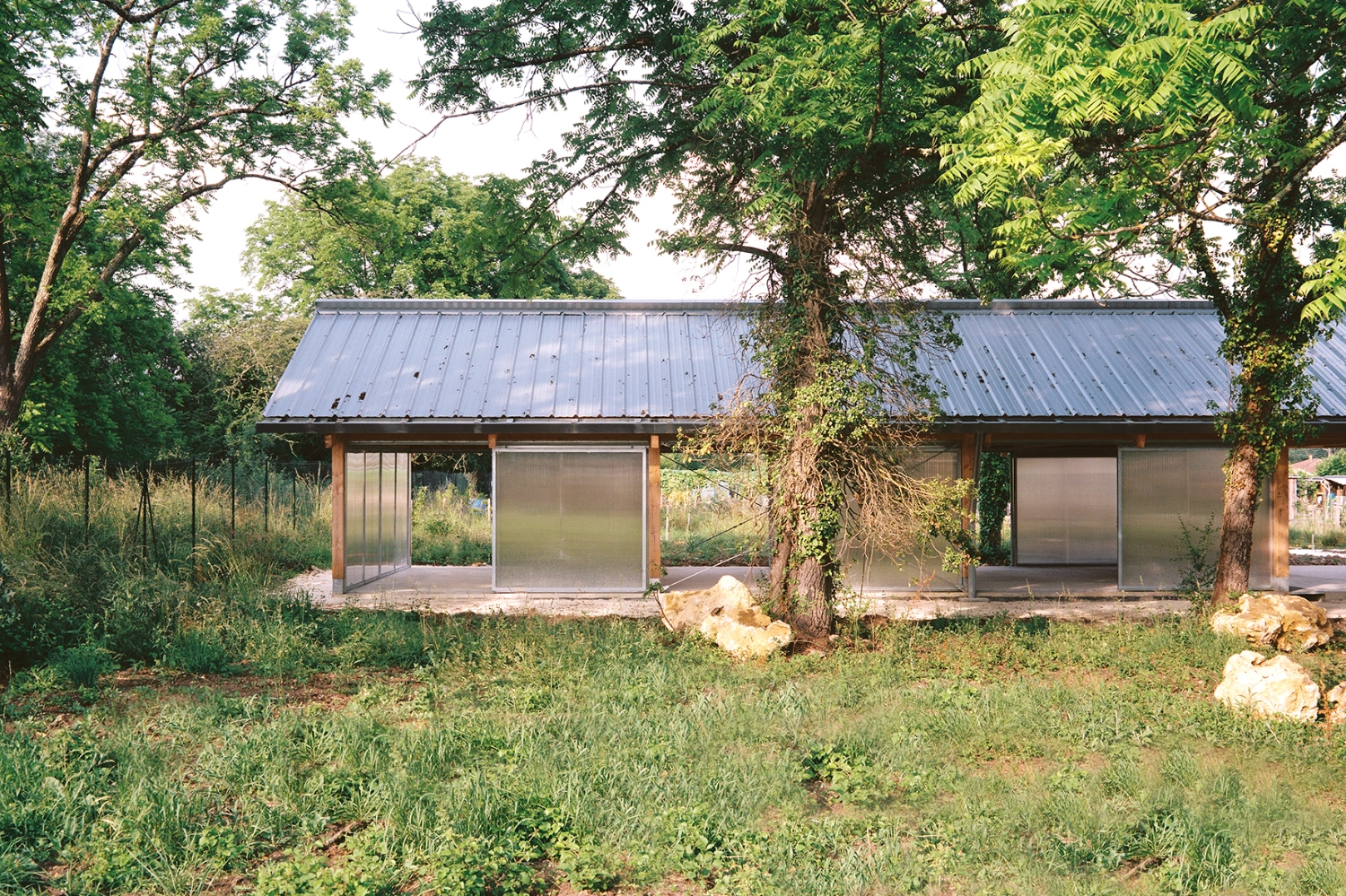 Garden Pavilion by Esnard Sanz Architectes — Two timber-framed pavilions with pitched metal roofs sit within an overgrown allotment garden, their crisp geometry contrasting the wild vegetation.
