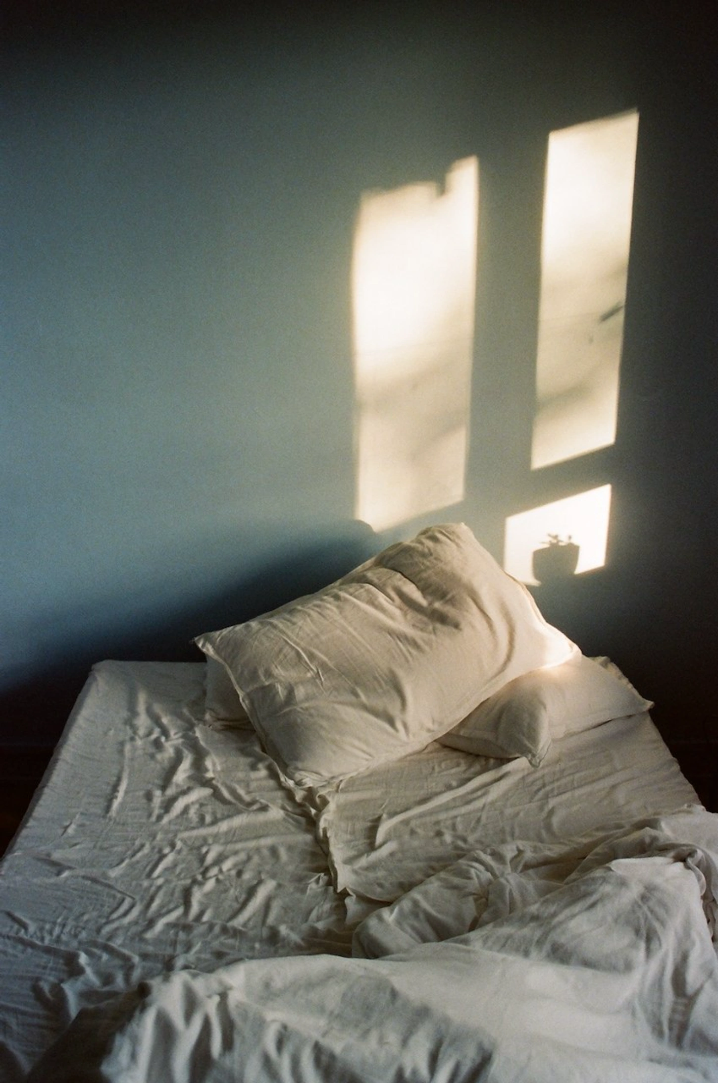 Selected works by Lina Scheynius, beauty, nature, portrait, documentary