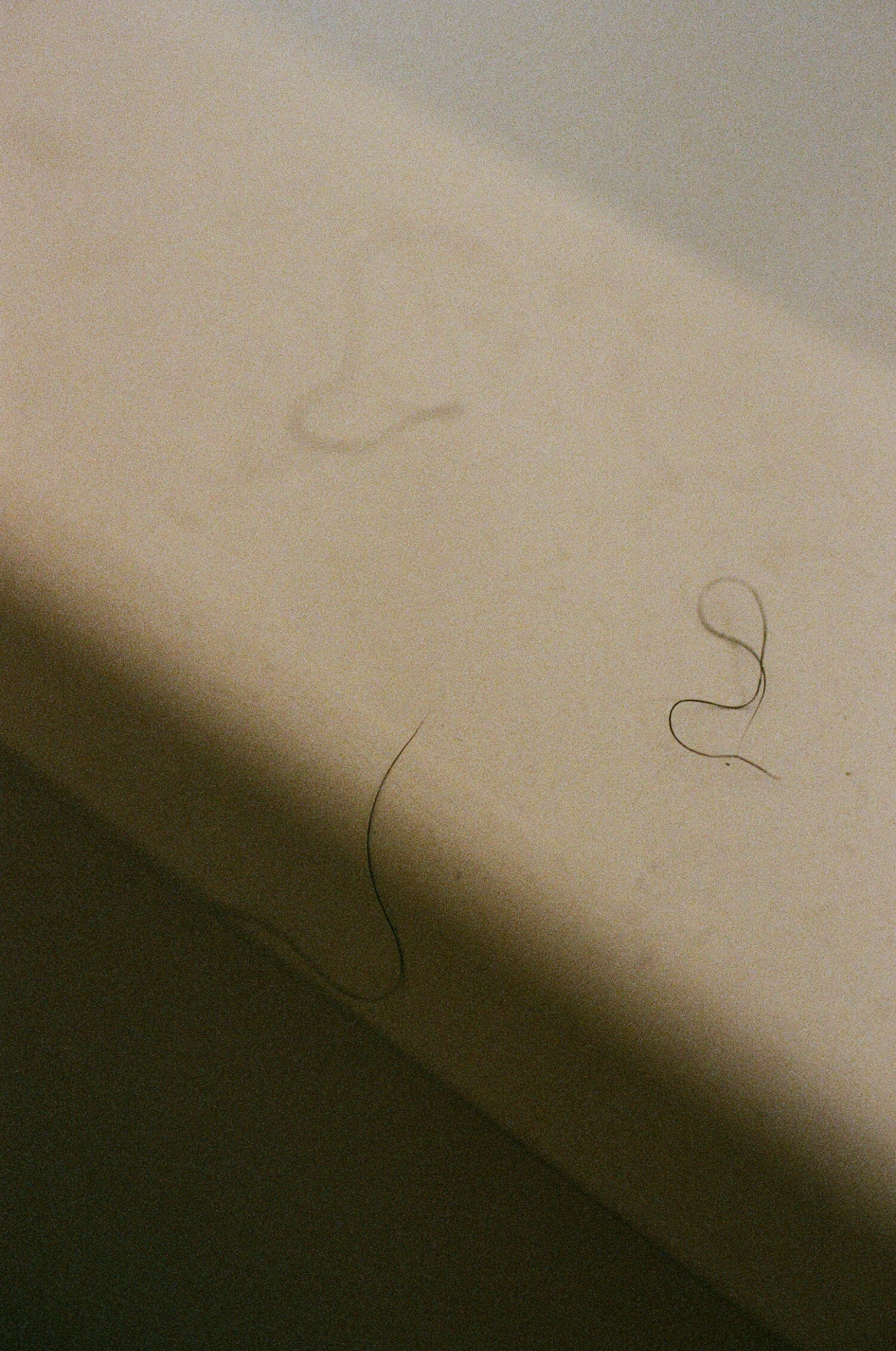 Selected works by Lina Scheynius, beauty, nature, portrait, documentary