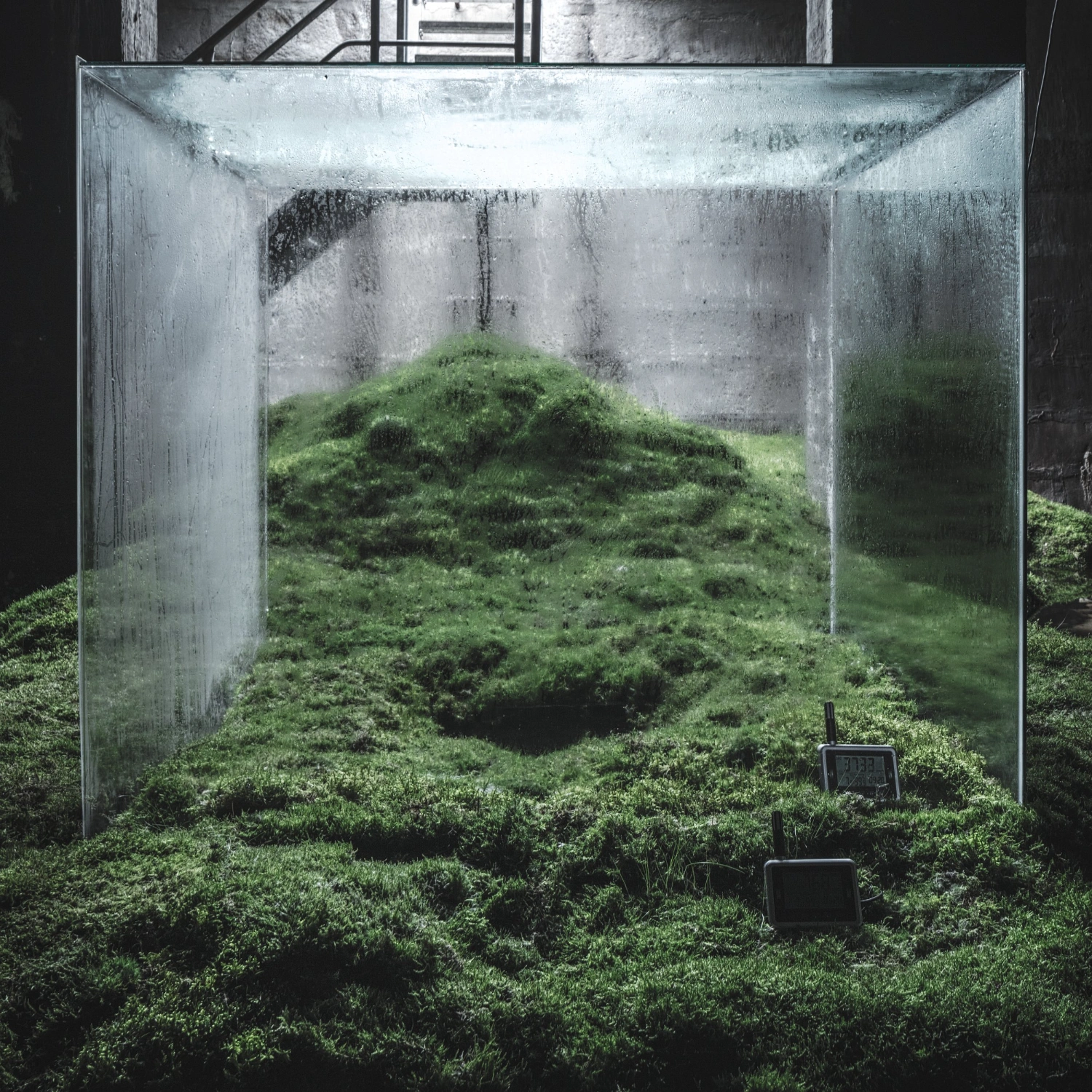 The Water by Hiroshi Sambuichi at Cisternerne, art, installation, nature, architecture, glass
