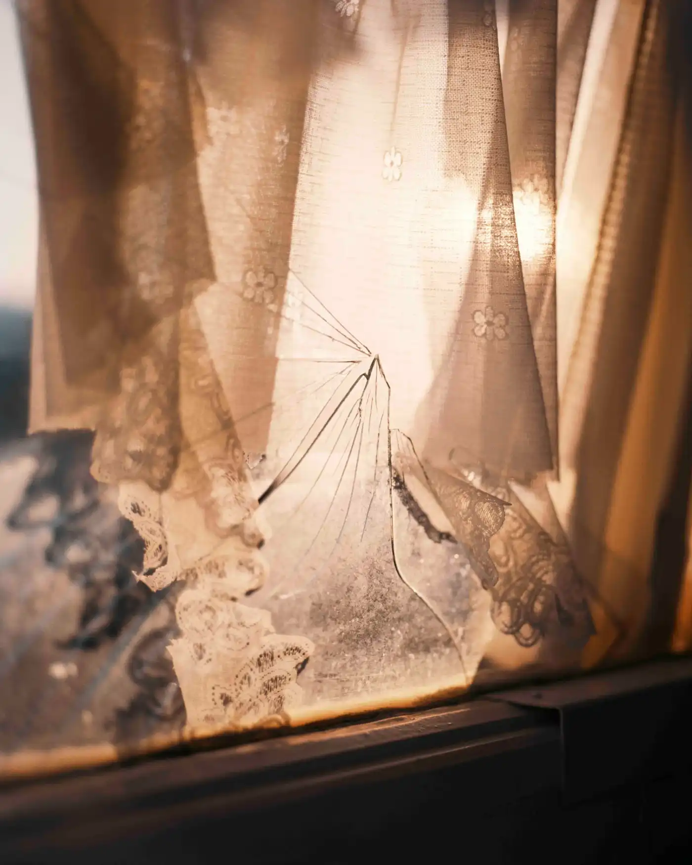 Land Loss by Max Miechowski — Delicate seed head suspended within layered linen curtains, backlit by golden-hour light filtering through translucent fabric.