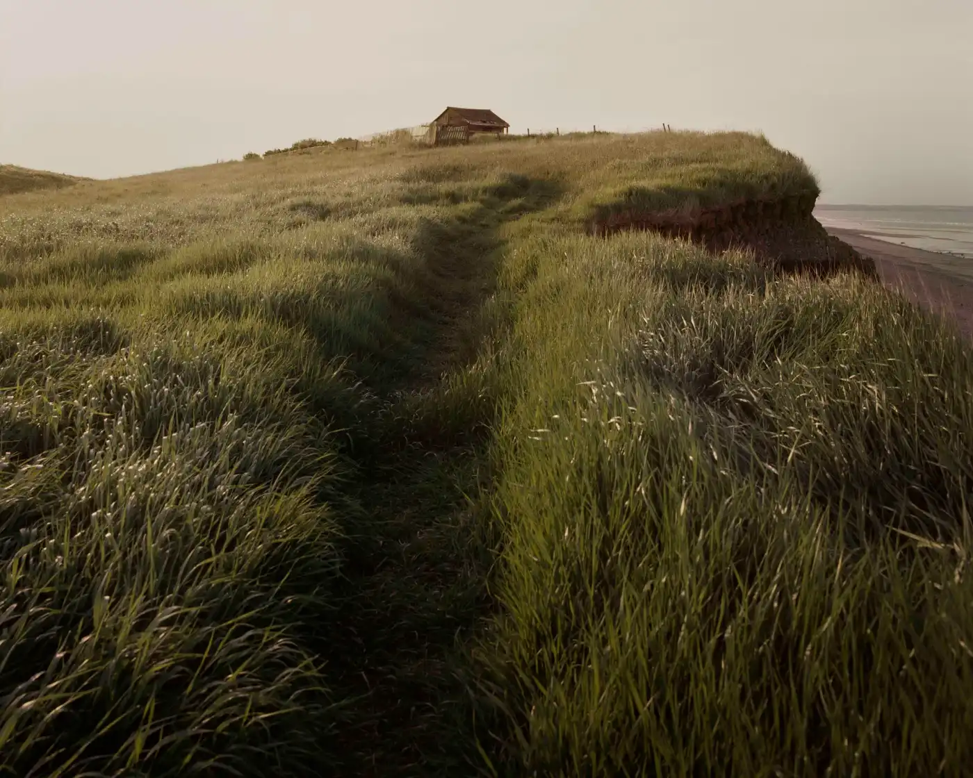 Land Loss by Max Miechowski — A deep erosional channel cuts through coastal grassland toward a solitary structure perched at the cliff edge.