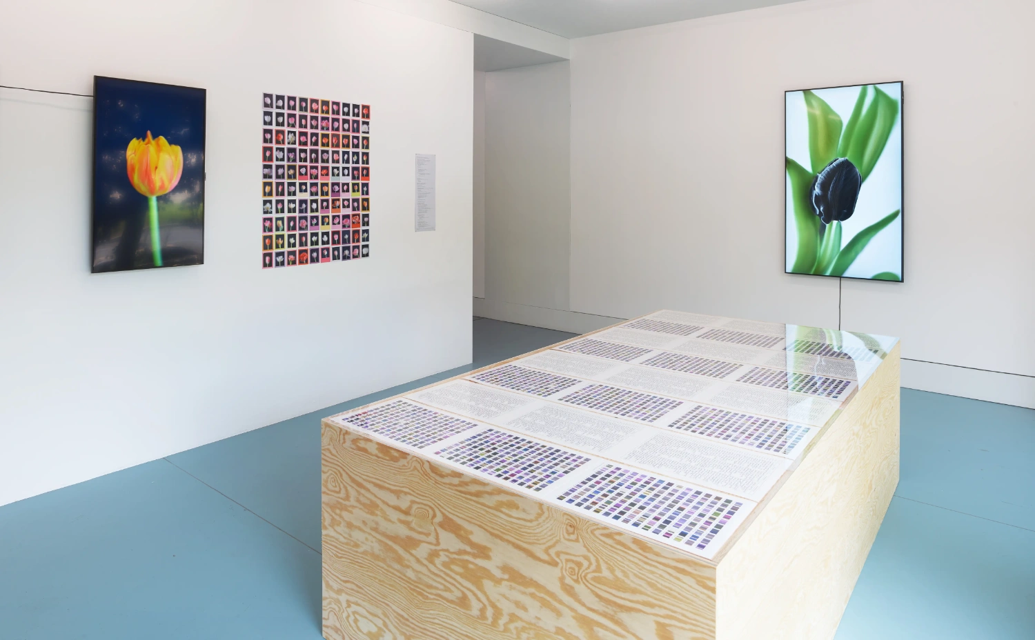 Time Within Time by Anna Ridler at Crypto Kiosk — The gallery installation presents a wooden plinth displaying a grid of digital color studies across multiple pages, each documenting subtle variations in...