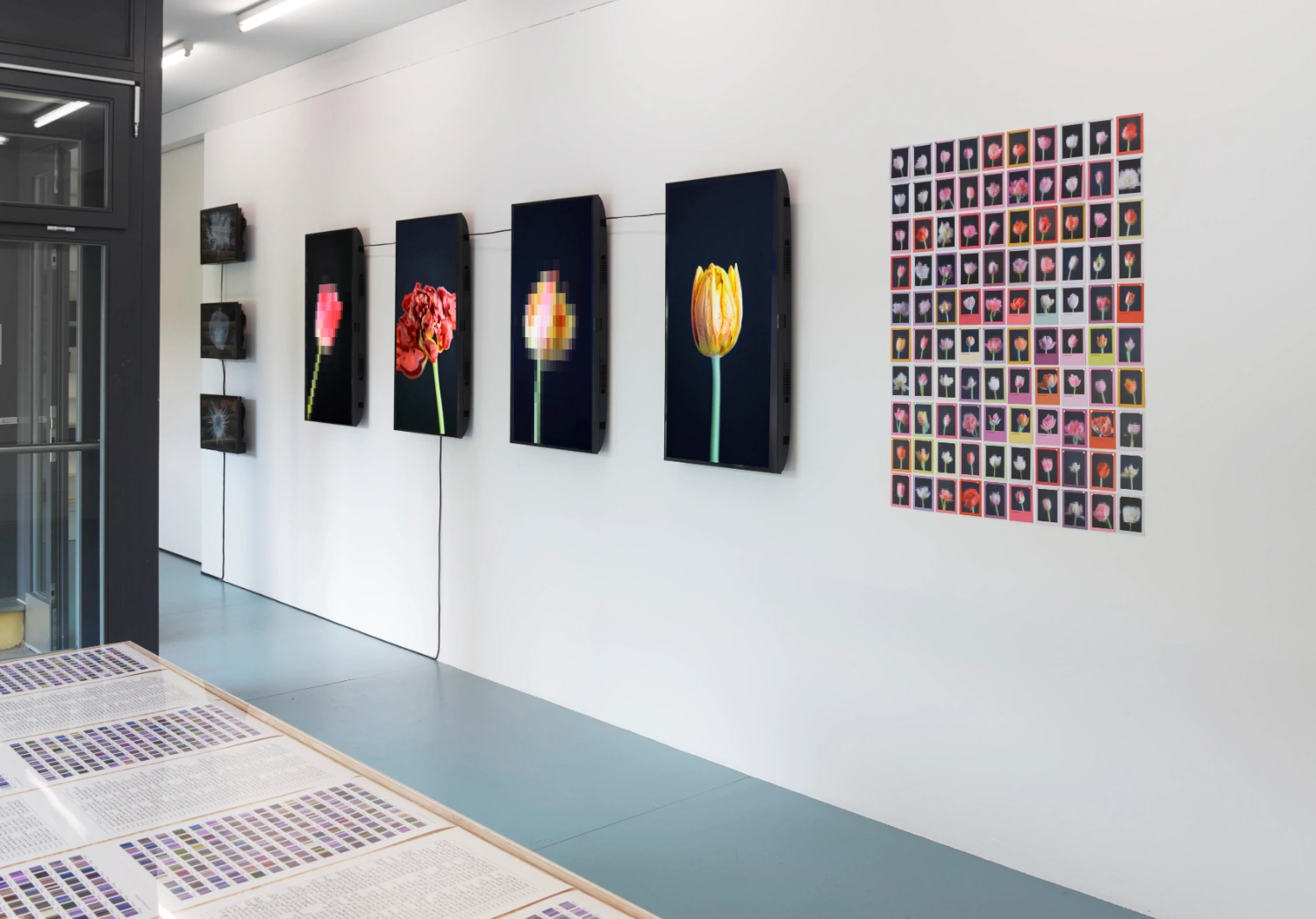 Time Within Time by Anna Ridler at Crypto Kiosk — The gallery installation presents a linear progression of digitally rendered tulips displayed on vertical black panels mounted against white walls.