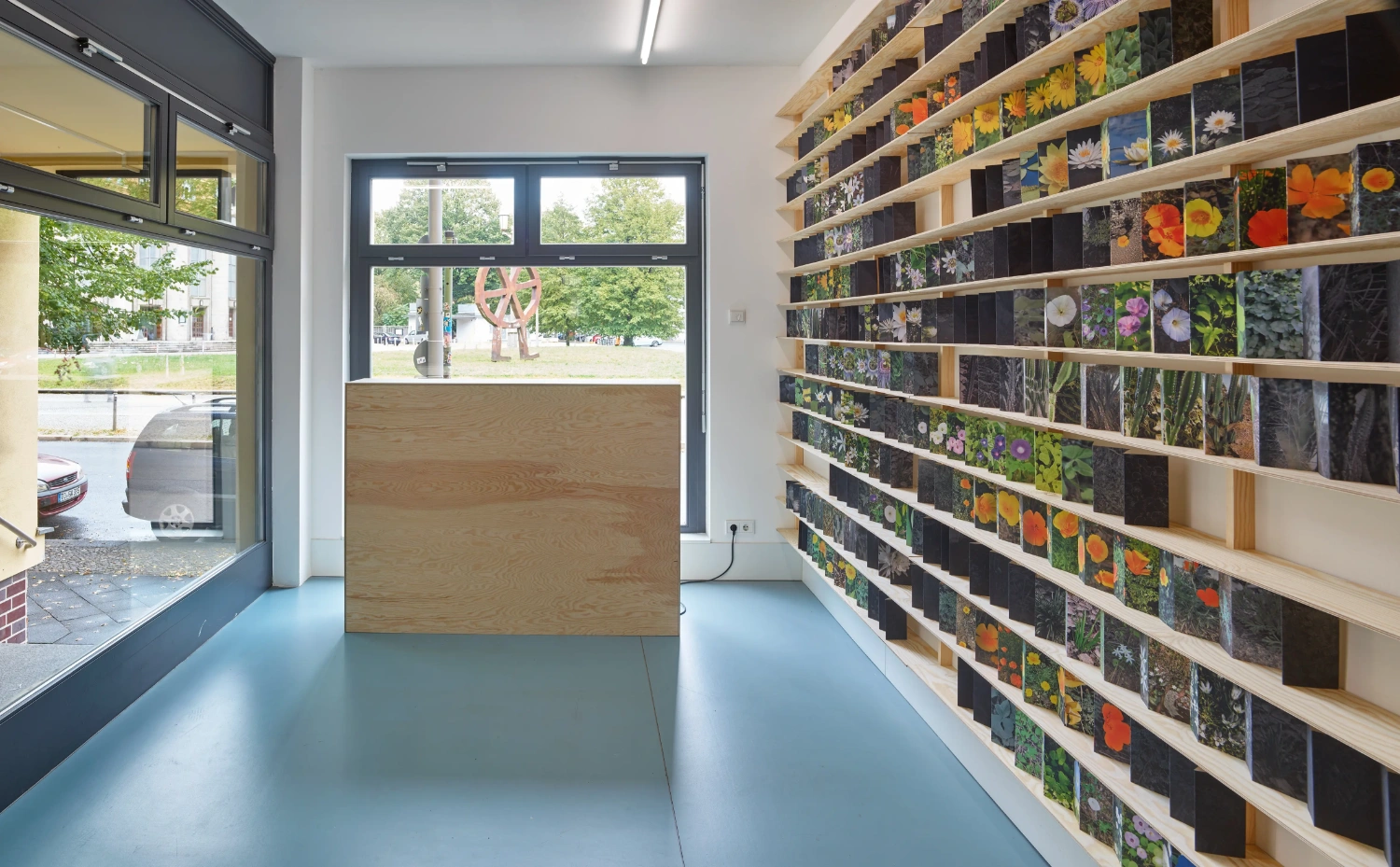 Time Within Time by Anna Ridler at Crypto Kiosk — A retail interior displaying botanical imagery as commodity.
