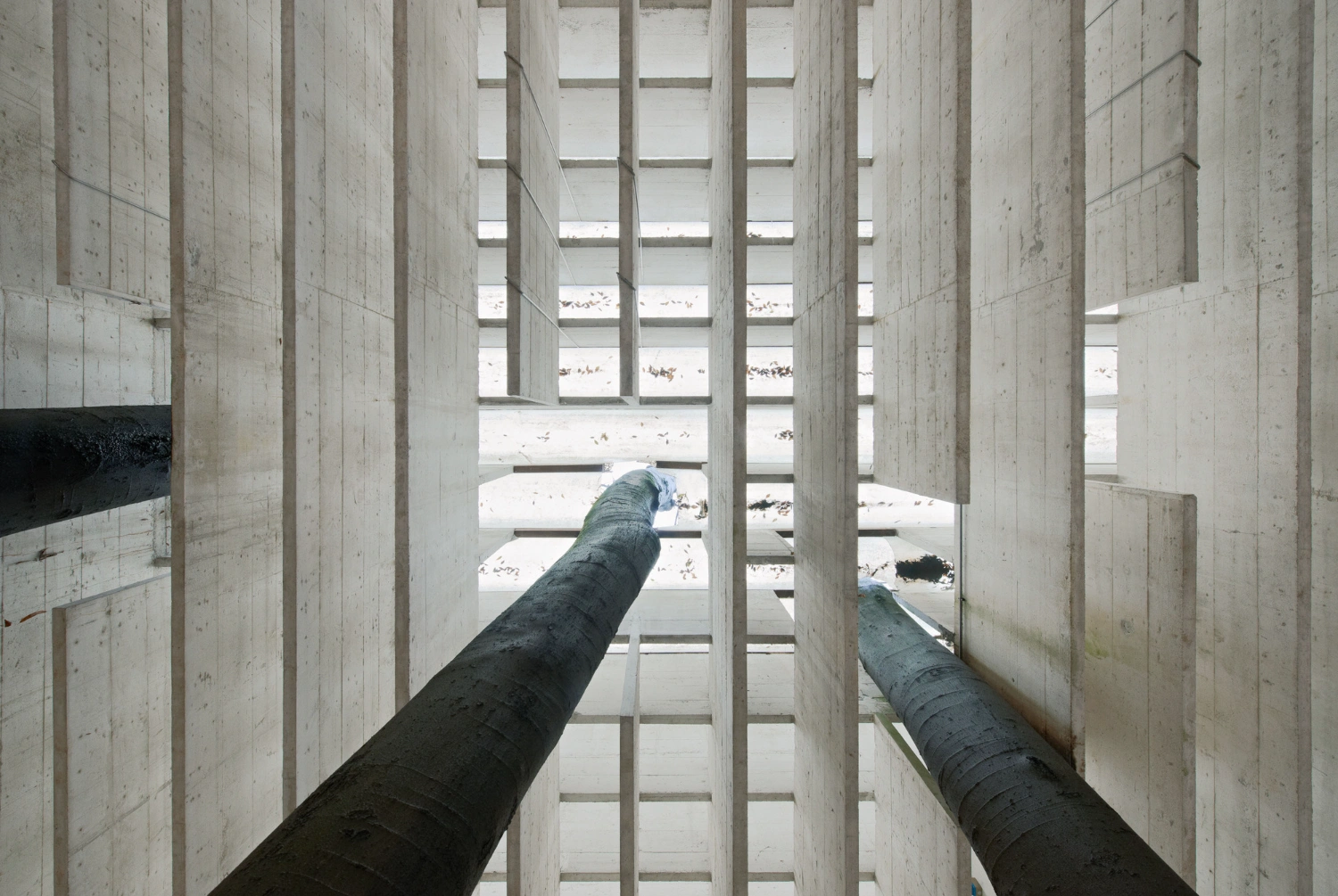 Nordic Pavilion in Venice by Sverre Fehn, concrete, architecture, pavilion, artspace, minimalism