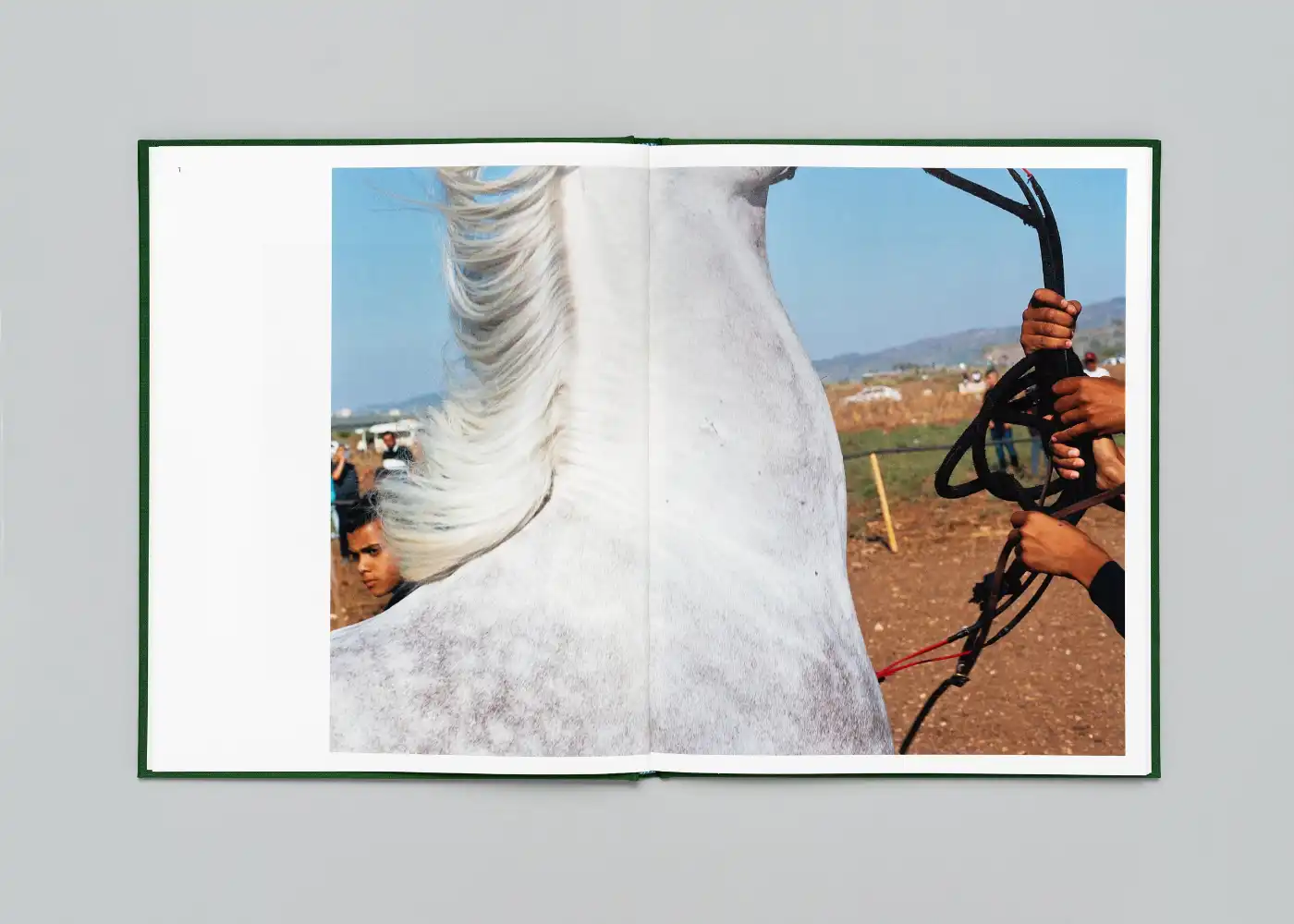As Far As Close by Dudi Hasson, photography, documentary, personal, book, print