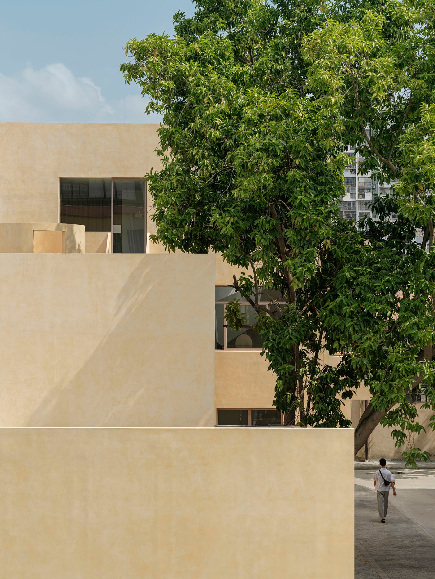 'The Field' by TEAM_BLDG by TEAM BLDG — A rendered facade in warm sandalwood-yellow tones frames a mature tree with dense green foliage that extends vertically across three stories.