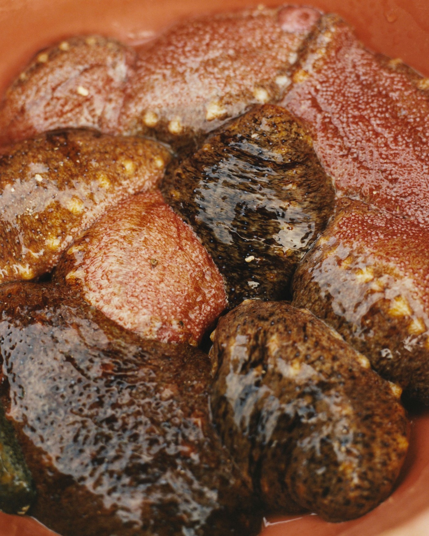 'The Last Mermaid' by Peter Ash Lee — A close-up photograph documenting harvested sea urchins in a terracotta bowl, their spiny shells displaying rust, ochre, and charcoal tones with white...
