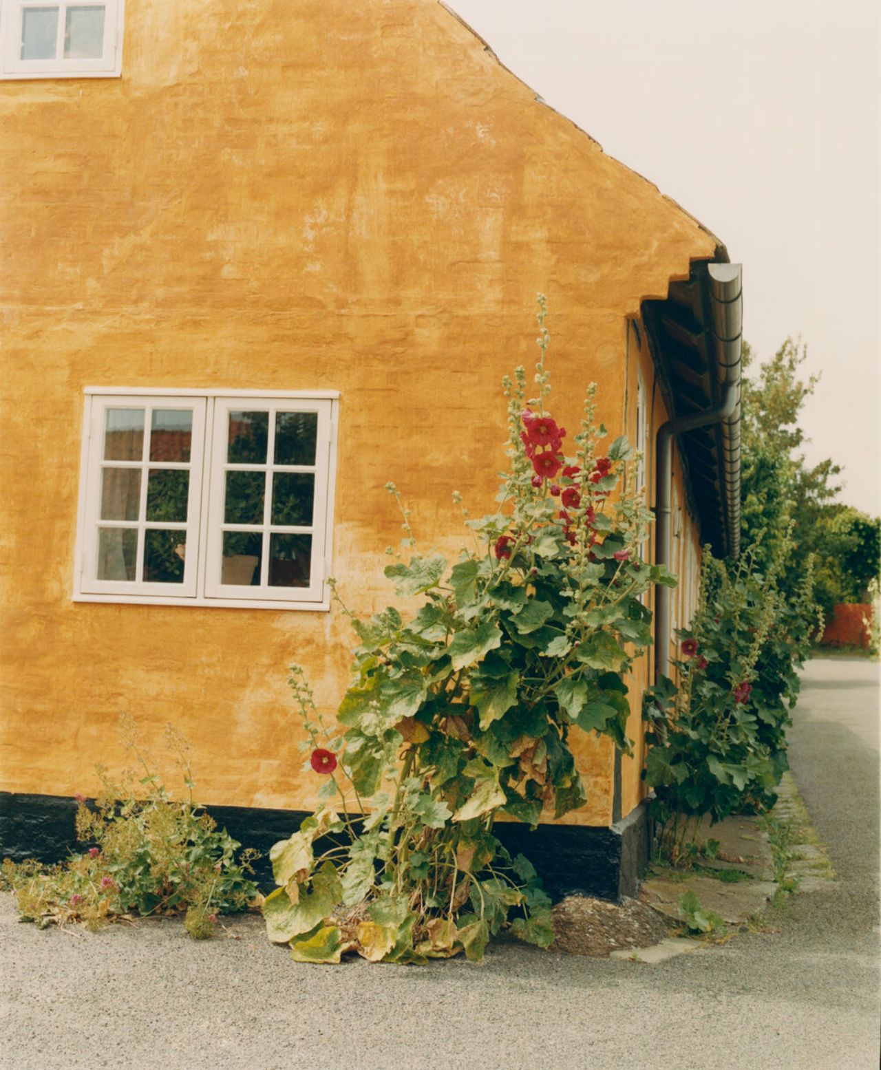 Selected Works by Nikki McClarron, landscape, fashion, documentary, beauty, photography