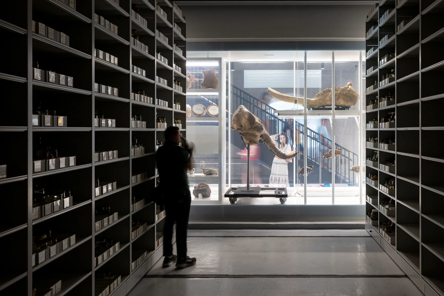 Richard Gilder Center (AMNH New York) by Studio Gang, concrete, nature, grey, interiors, public
