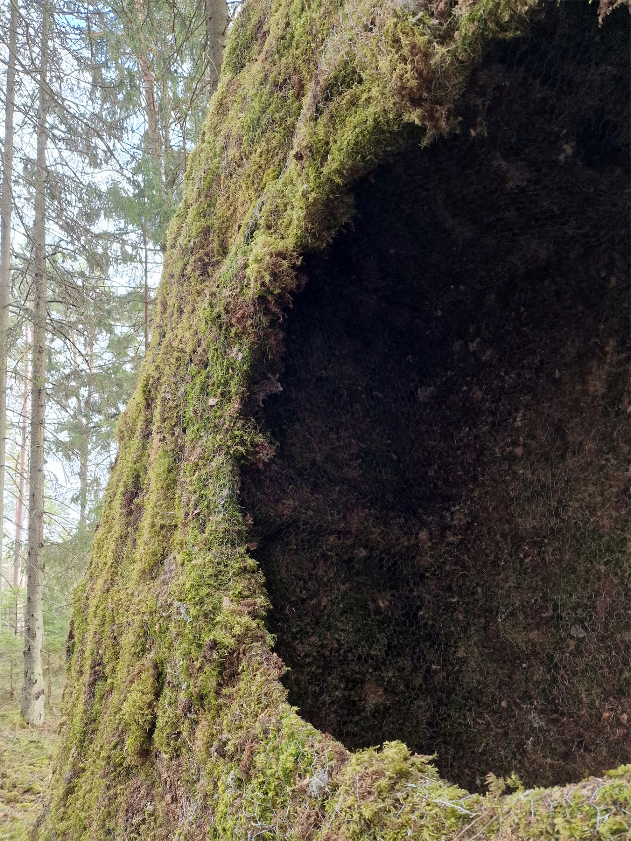Moss Hut by Ulf Mejergren Architects (UMA), organic, architecture, nature, sweden