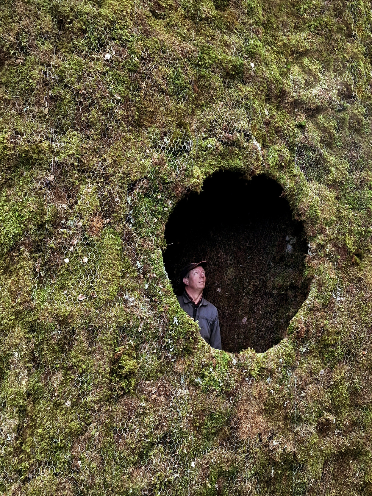 Moss Hut by Ulf Mejergren Architects (UMA), organic, architecture, nature, sweden