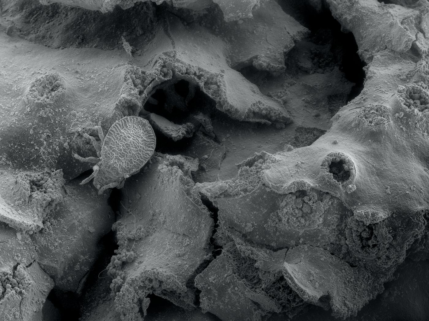 Ground Noise by Celine Clanet, nature, organic, landscape, photography