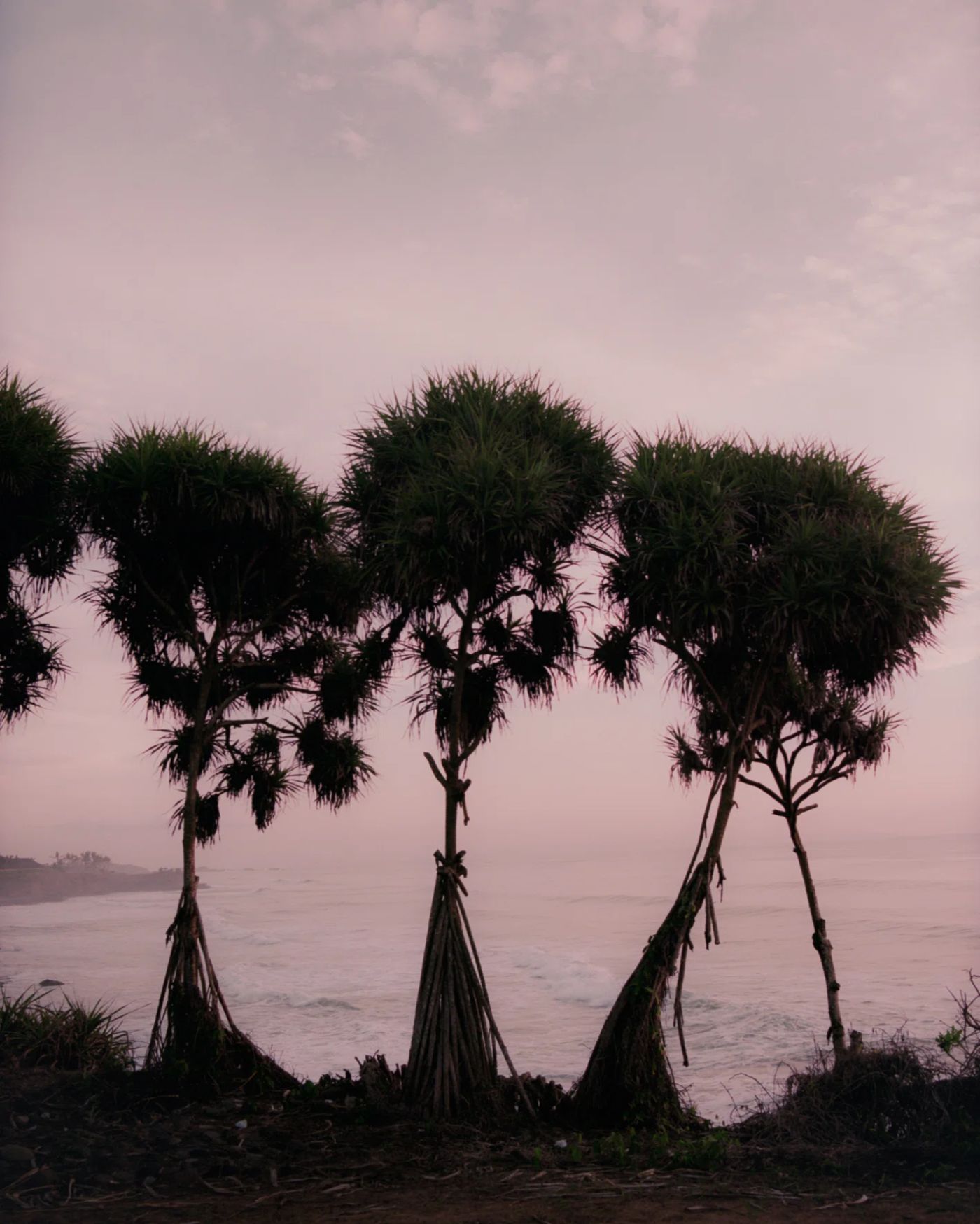 Selected Works by Umit Savaci, beauty, fashion, travel, personal, photography