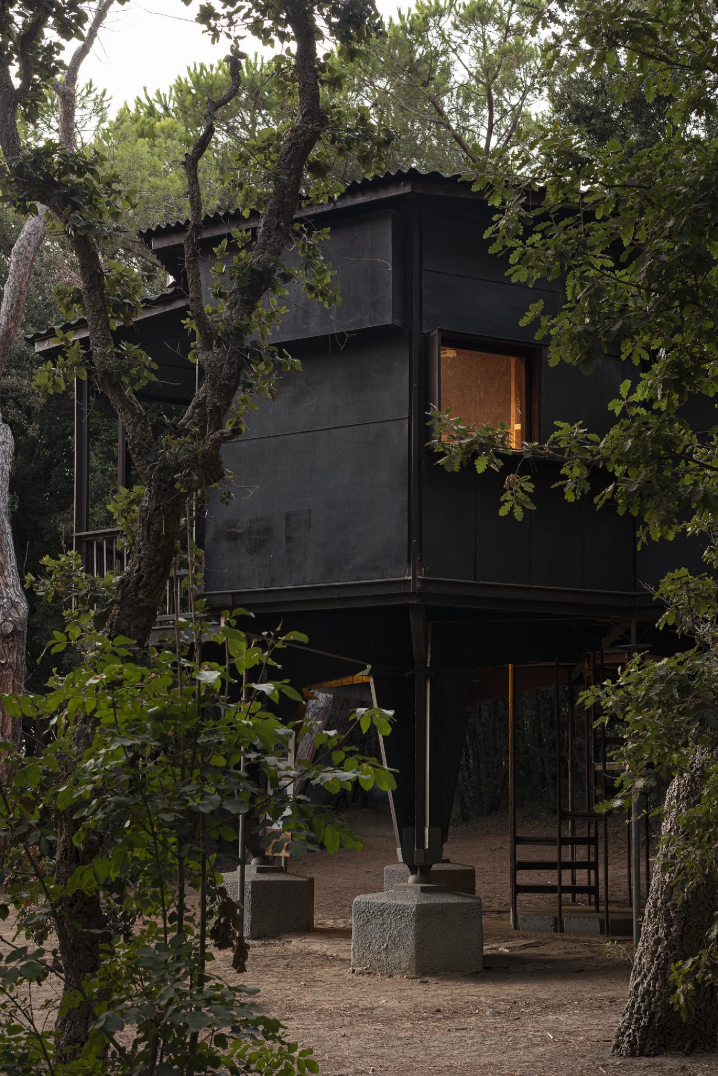 Casa Esagono by Vittorio Giorgini captured by Fabio Bascetta, house, museum, wood, architecture, cabins