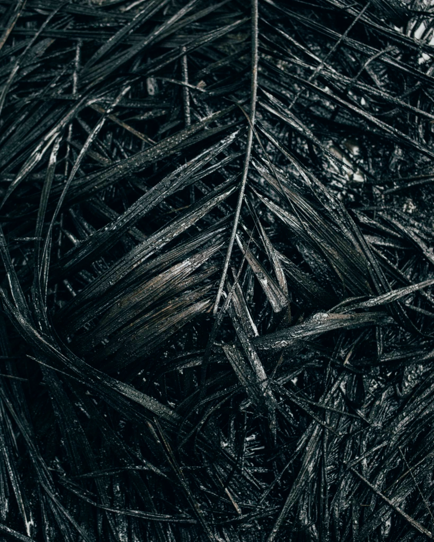 Wahala by Robin Hinsch, photography, climatechange, documentary, ecology