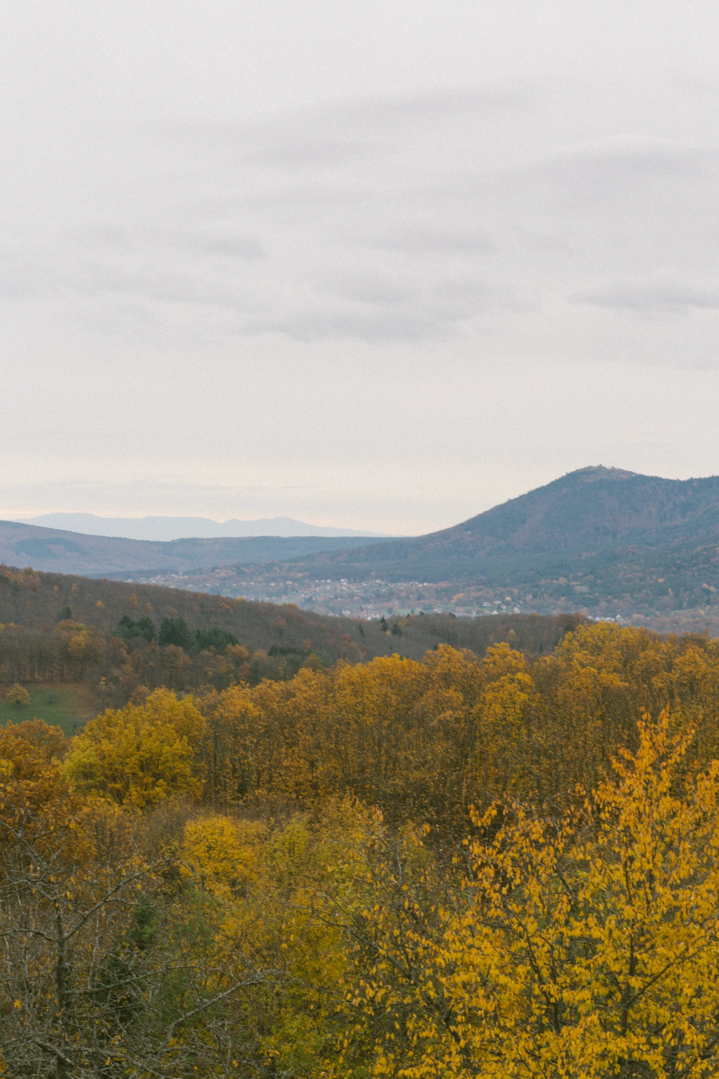Maison Hiltiti caputred by Thisispaper Studio, wood, villa, wellness, architecture