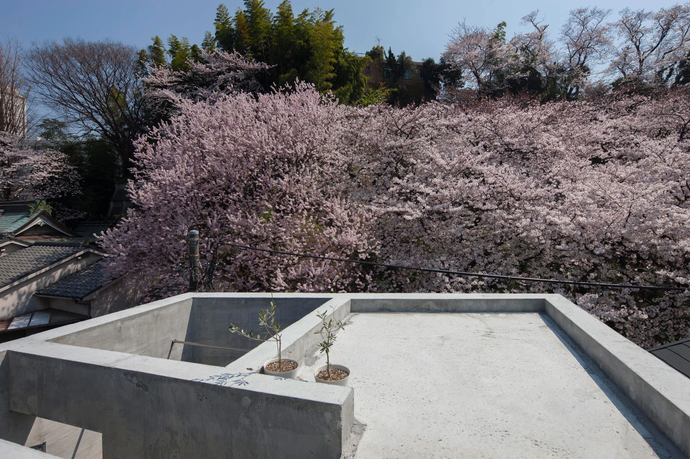Oriel Window House by Shinsuke Fujii Architects, conceptual, concrete, architecture, japan, glass