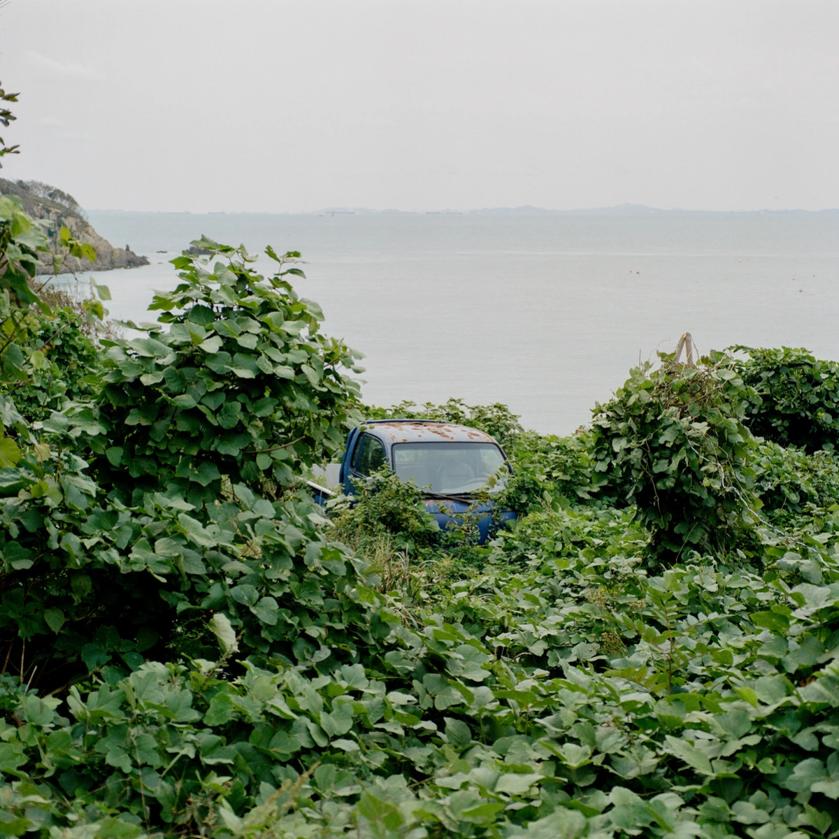 Extinction Forecast by KyeongJun Yang, photography, documentary, social