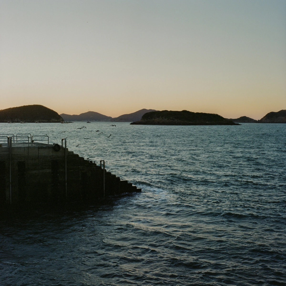 Extinction Forecast by KyeongJun Yang, photography, documentary, social