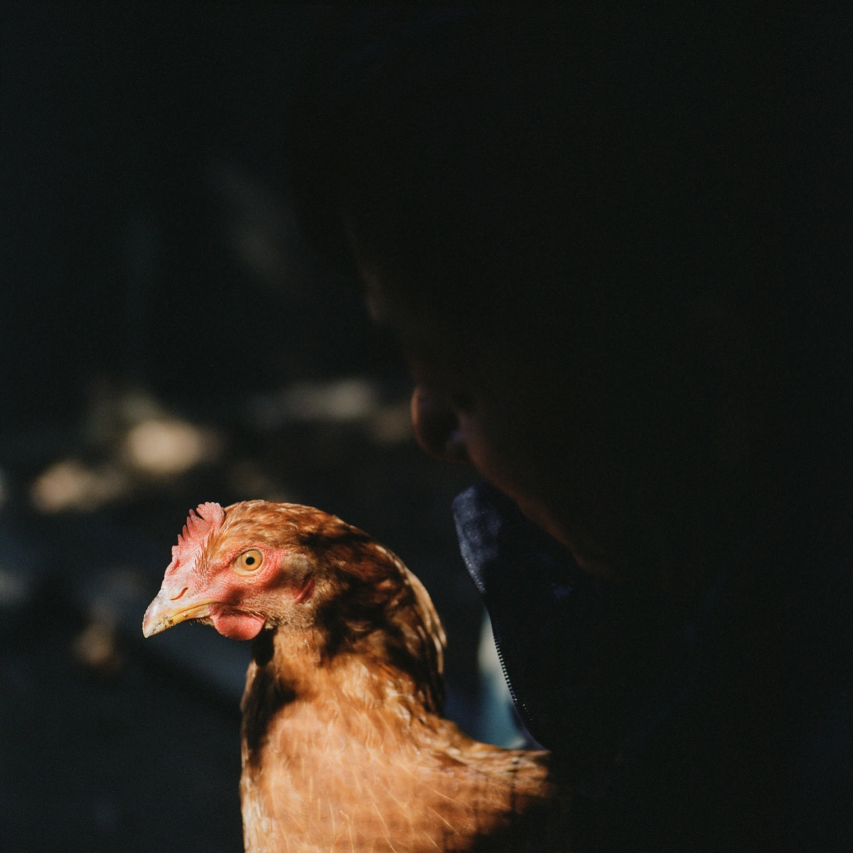 Extinction Forecast by KyeongJun Yang, photography, documentary, social