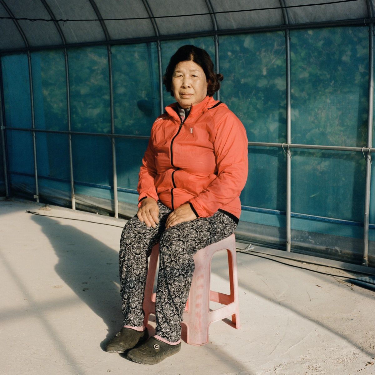 Extinction Forecast by KyeongJun Yang, photography, documentary, social