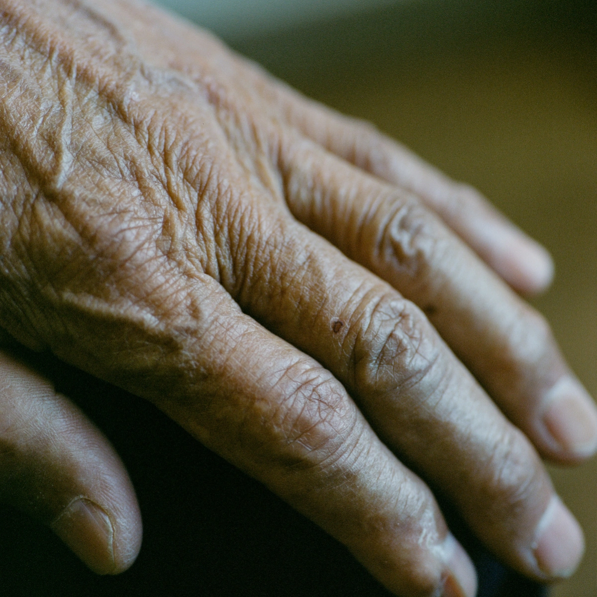 Extinction Forecast by KyeongJun Yang, photography, documentary, social