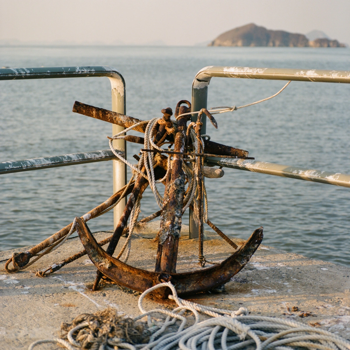 Extinction Forecast by KyeongJun Yang, photography, documentary, social