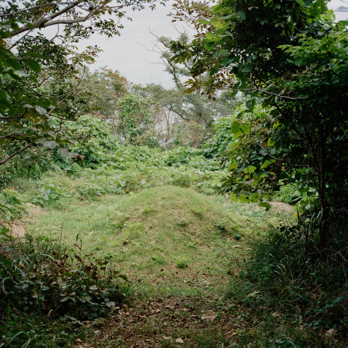 Extinction Forecast by KyeongJun Yang, photography, documentary, social