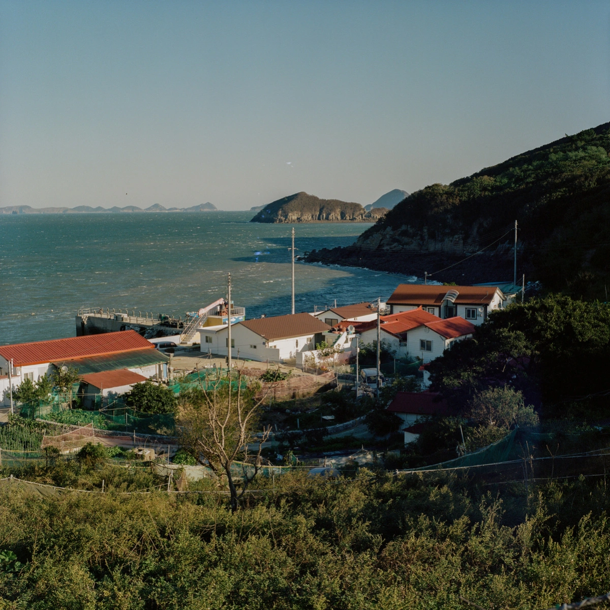 Extinction Forecast by KyeongJun Yang, photography, documentary, social