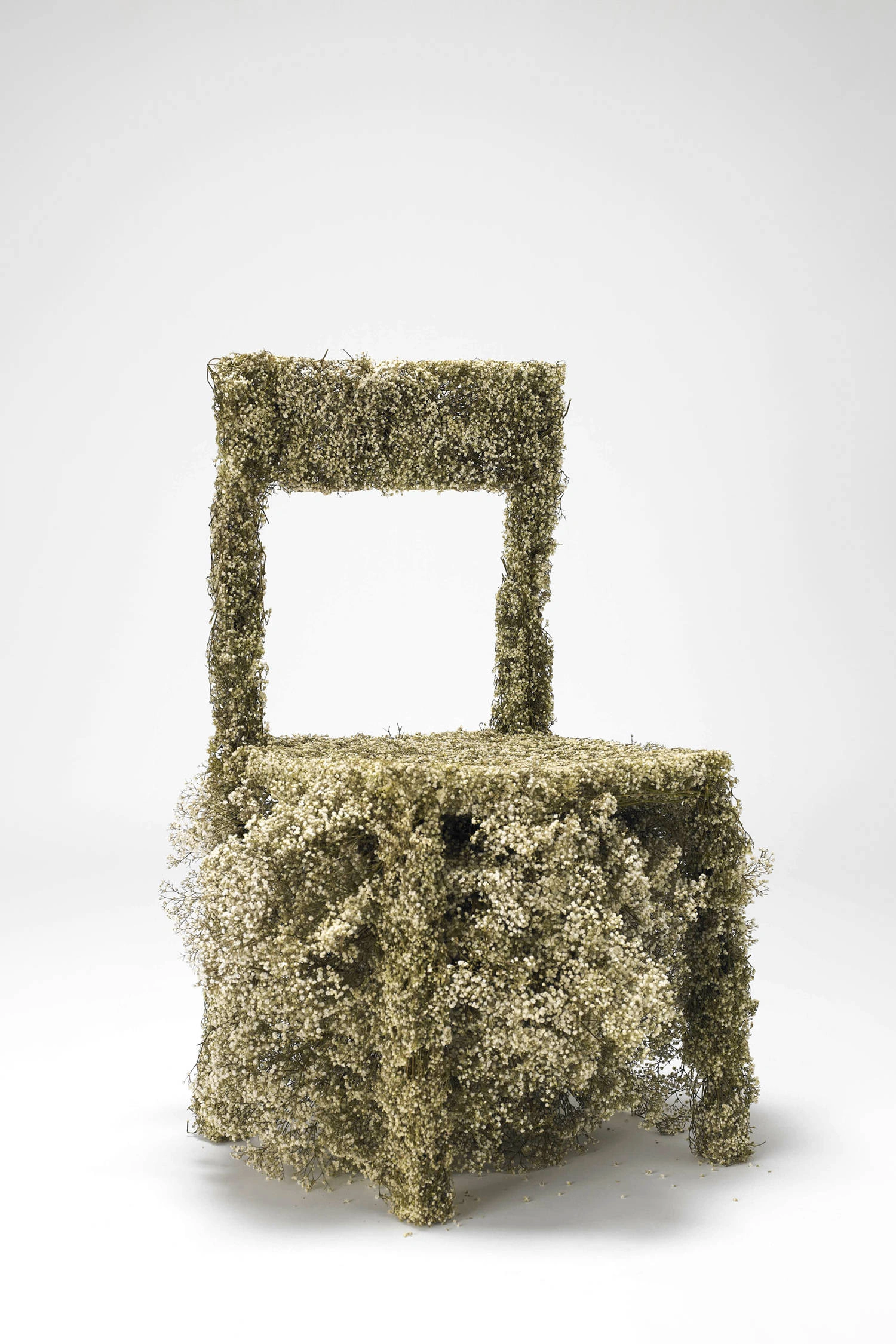 Harvest by Asif Khan, biodesign, minimalism, organic, design