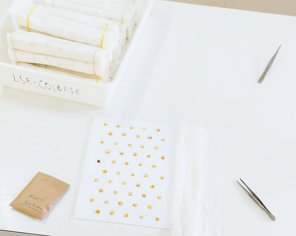 Archiving Eden: The Vaults by Dornith Doherty, photography, climatechange, documentary, future