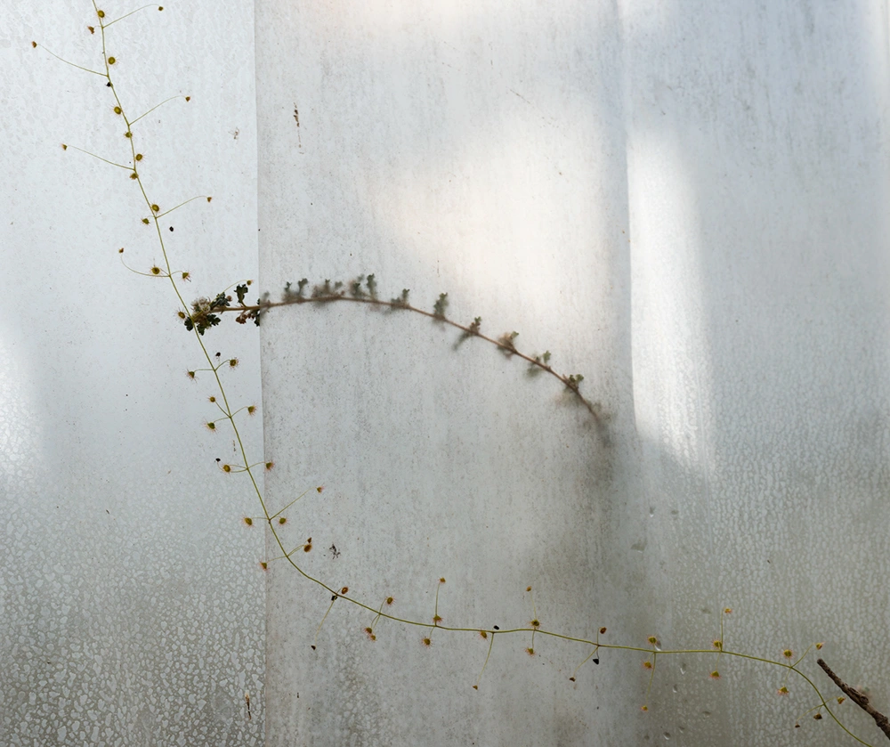 Archiving Eden: The Vaults by Dornith Doherty, photography, climatechange, documentary, future