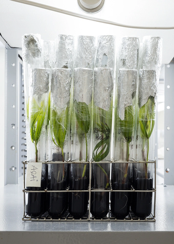 Archiving Eden: The Vaults by Dornith Doherty, photography, climatechange, documentary, future