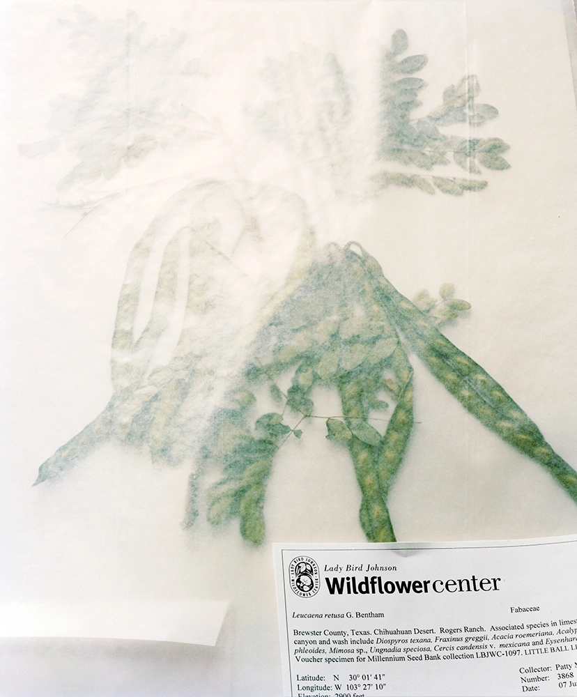 Archiving Eden: The Vaults by Dornith Doherty, photography, climatechange, documentary, future