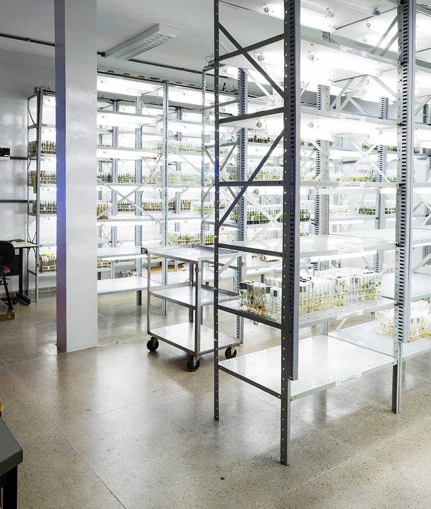 Archiving Eden: The Vaults by Dornith Doherty, photography, climatechange, documentary, future