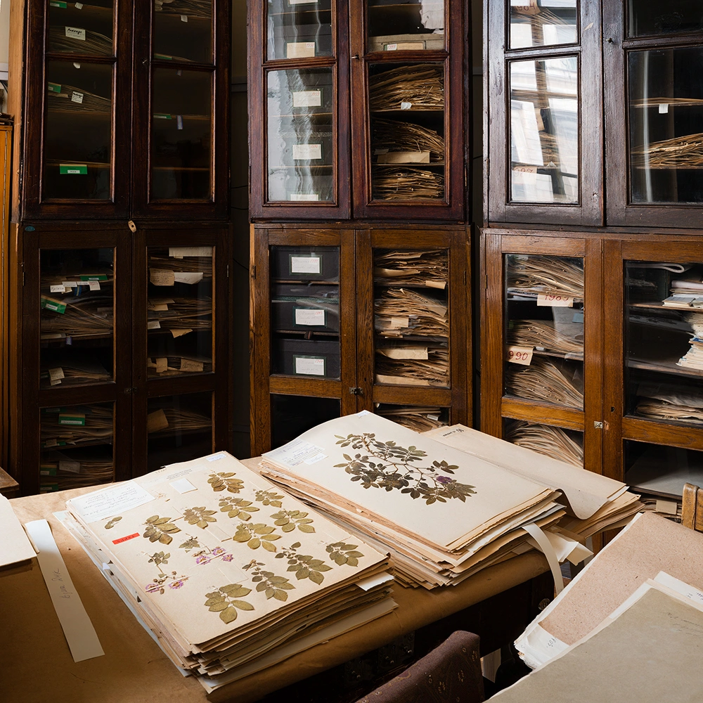 Archiving Eden: The Vaults by Dornith Doherty, photography, climatechange, documentary, future