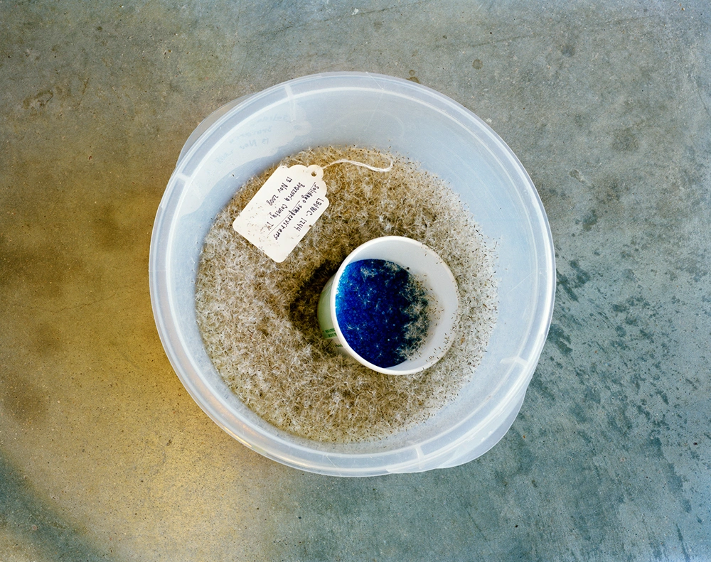 Archiving Eden: The Vaults by Dornith Doherty, photography, climatechange, documentary, future