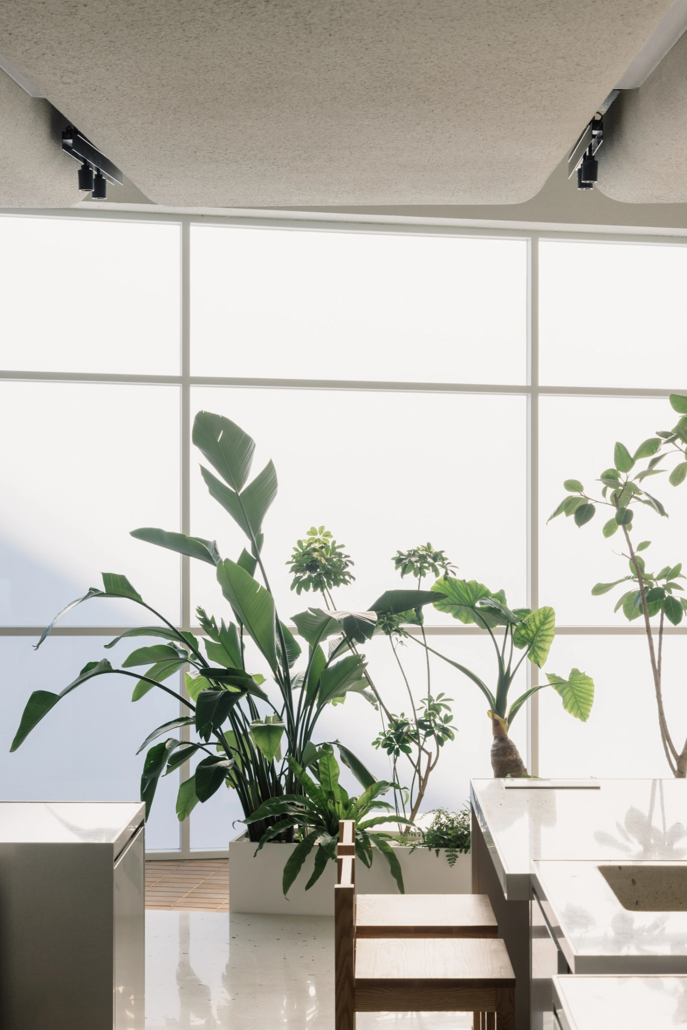 Fishtank by Office AIO, cafe, china, interiors, minimalism, grey