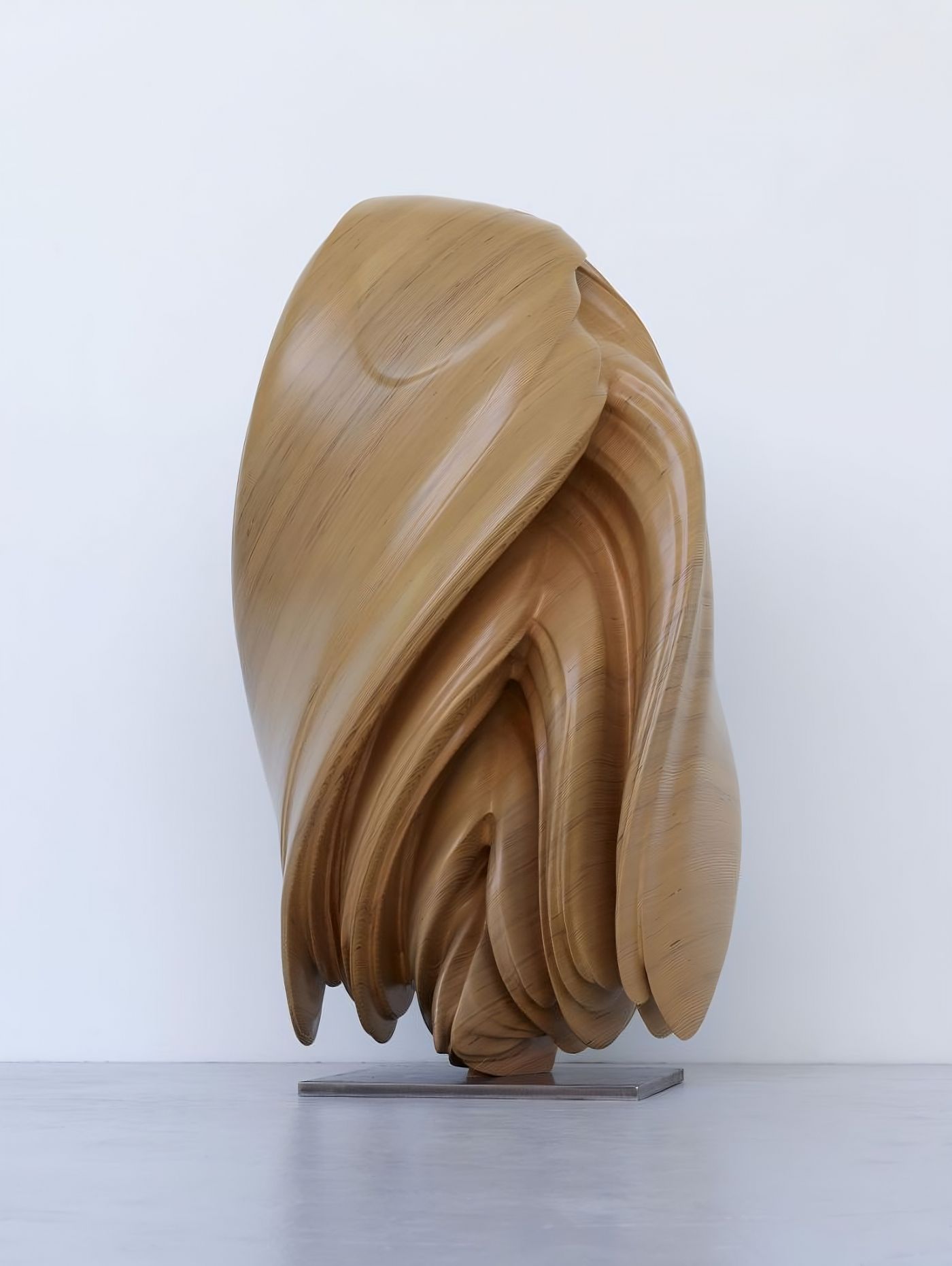 Selected works by Tony Cragg, 3D, abstract, art, sculpture, wood