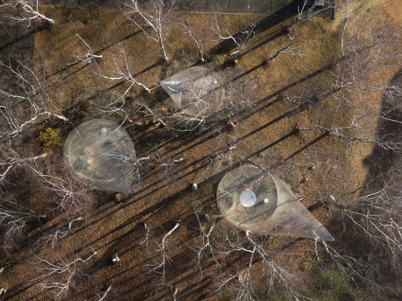 Hokuto Art Program Ed.1 by Yuko Nagayama & Associates, japan, nature, art, 3D, design