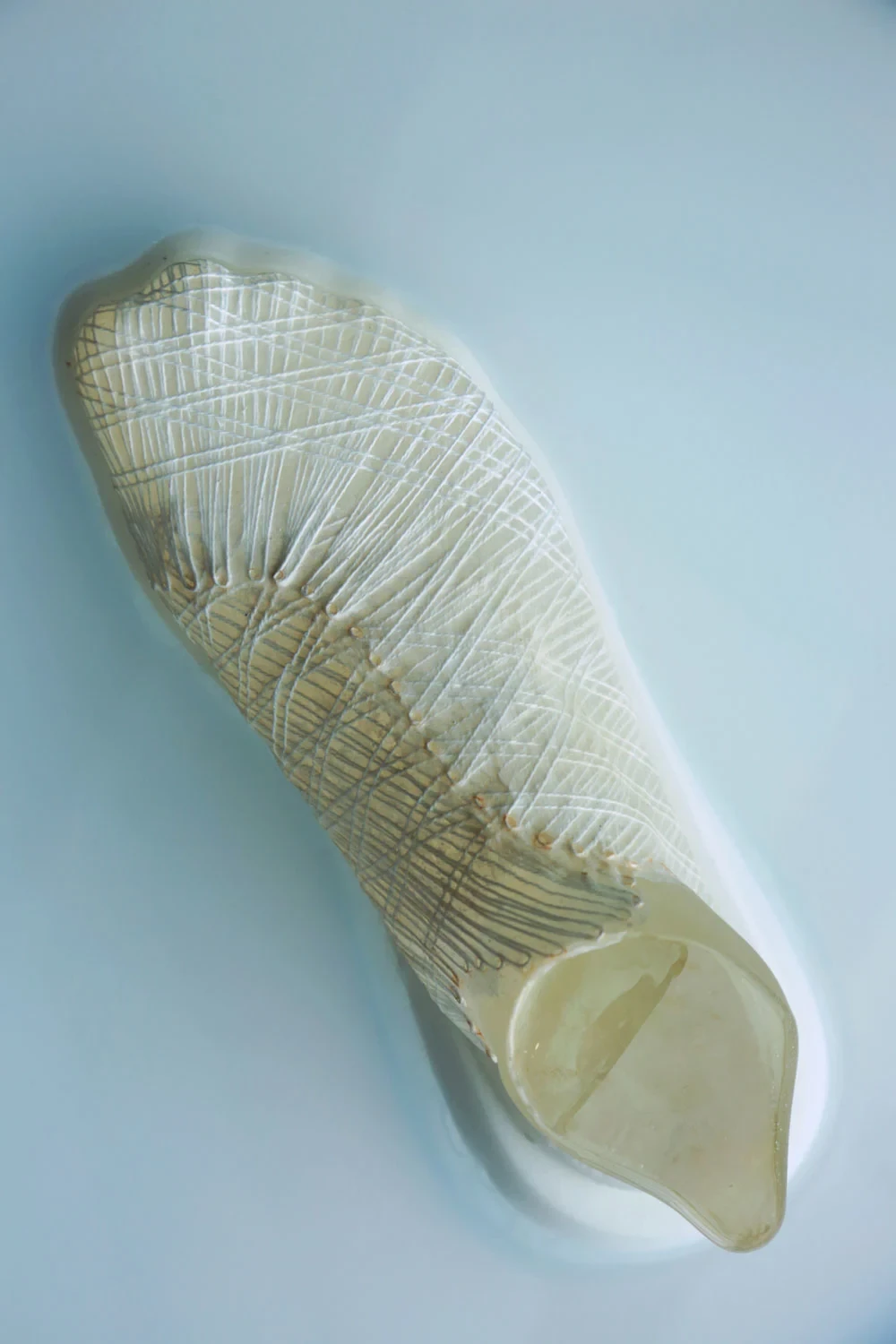 Biomaterials by Modern Synthesis, biodesign, sustainable, design, fashion, 3D