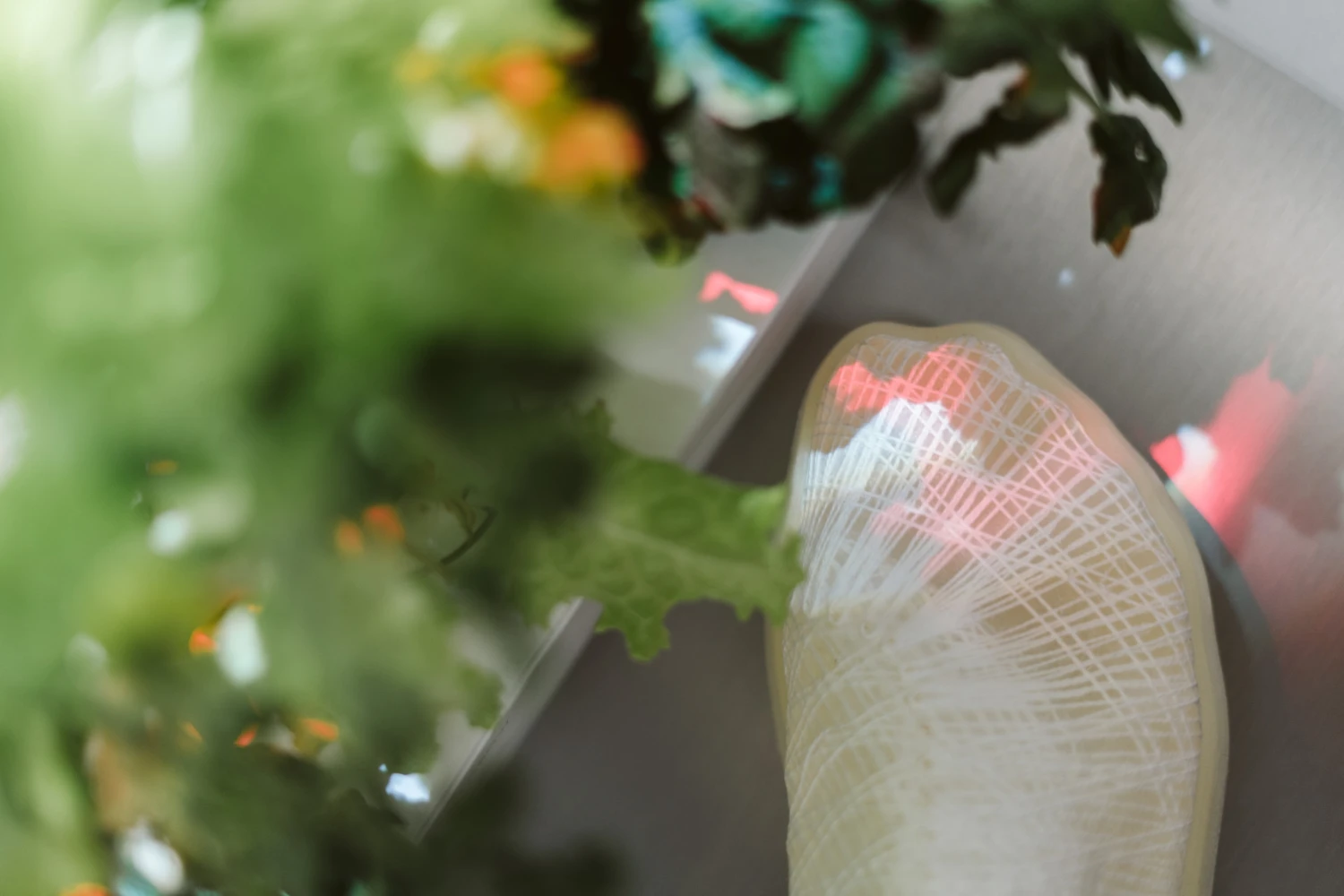 Biomaterials by Modern Synthesis, biodesign, sustainable, design, fashion, 3D