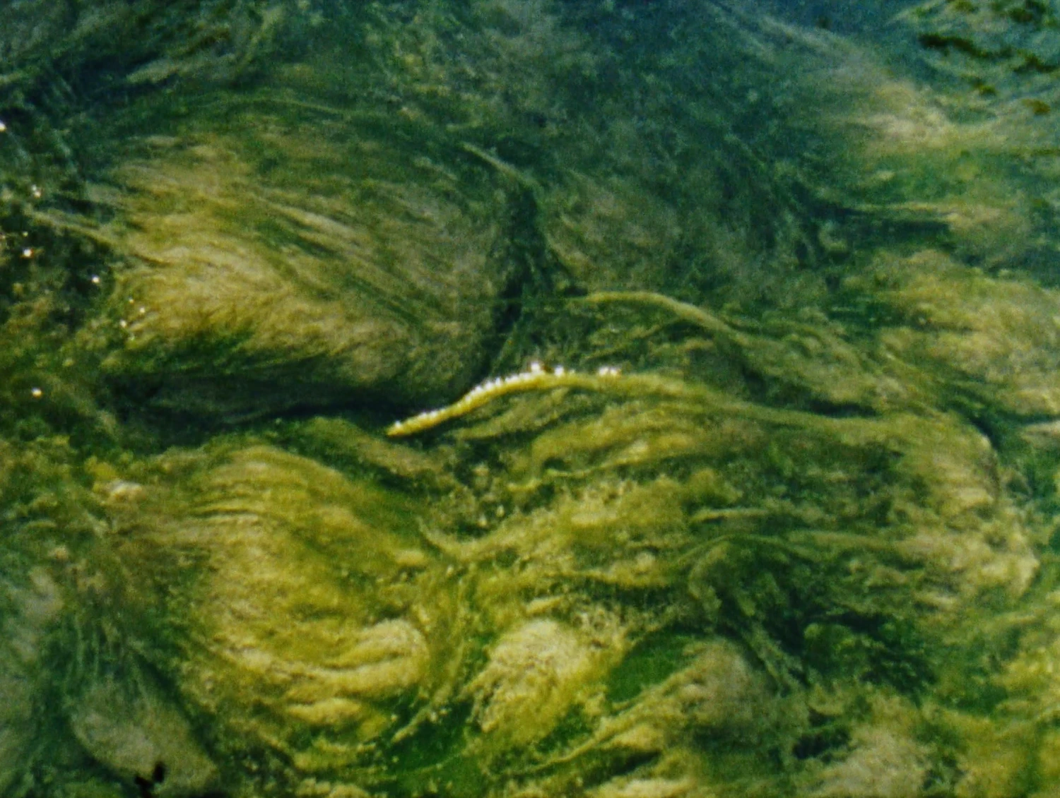 Selected works by Antoine Cormier, documentary, photography, analog, film, people