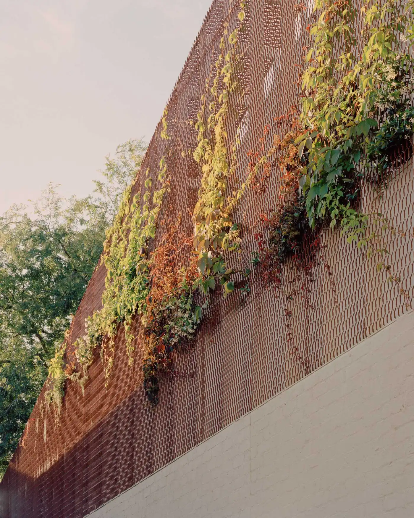 Autumn House by Studio Bright, house, familyhouse, interiors, home, wood