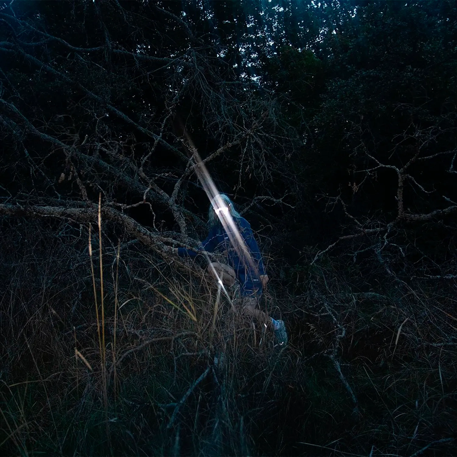 Mythic Humanoids by Arvida Bystrom, digital, photography, art, beauty, feminism