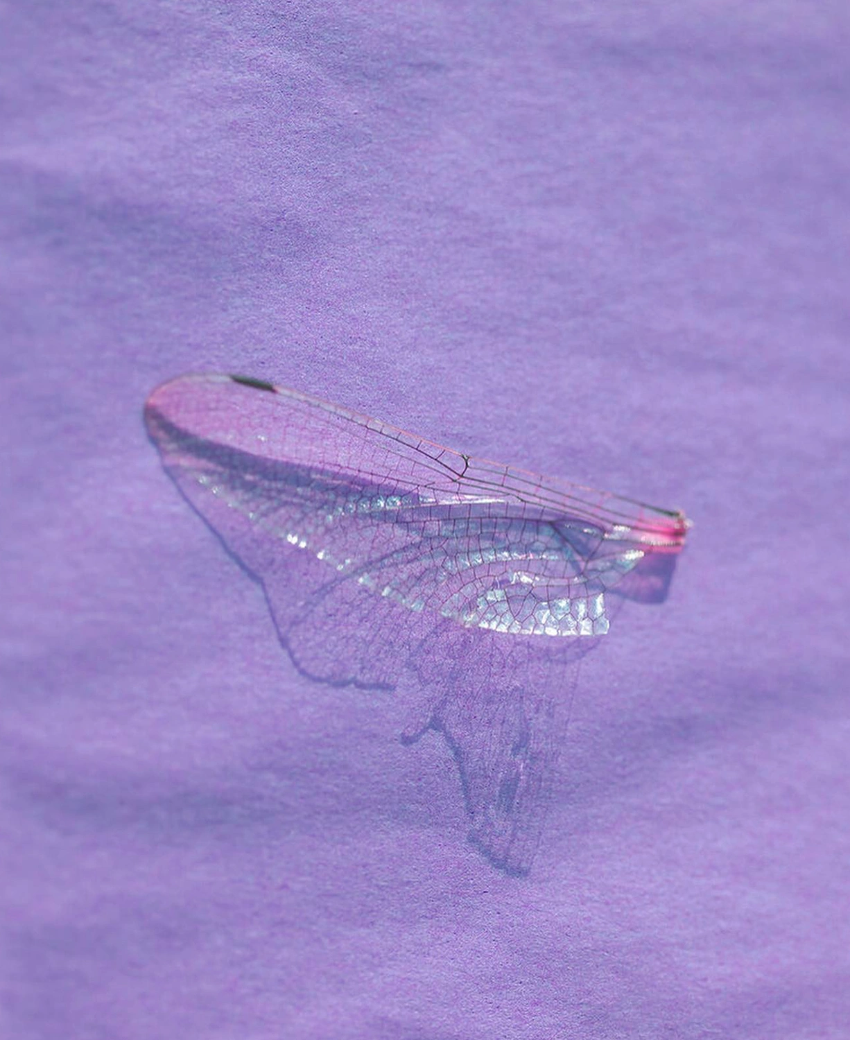 Mythic Humanoids by Arvida Bystrom, digital, photography, art, beauty, feminism