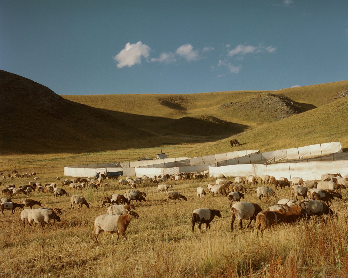 'Dyal Thak' by Kin Coedel, documentary, photography, portrait, craft, nature