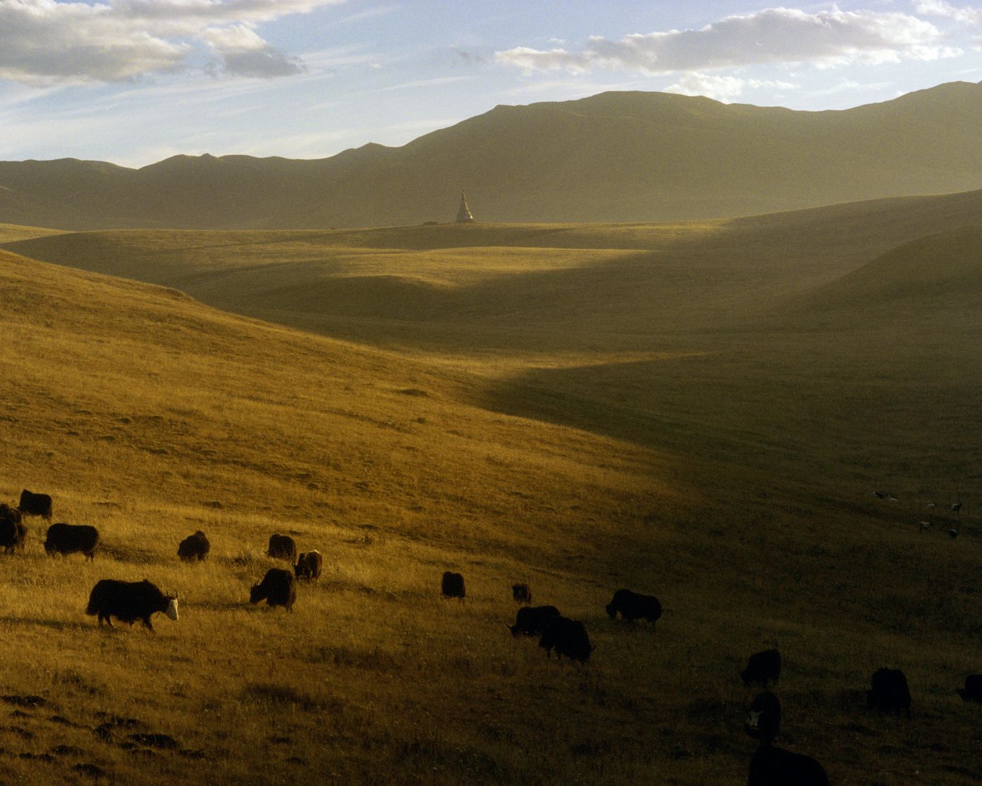 'Dyal Thak' by Kin Coedel, documentary, photography, portrait, craft, nature